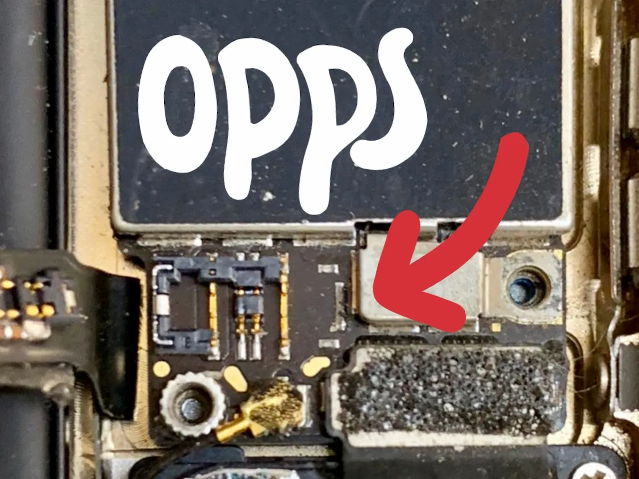 Phone Repair Doctor photo
