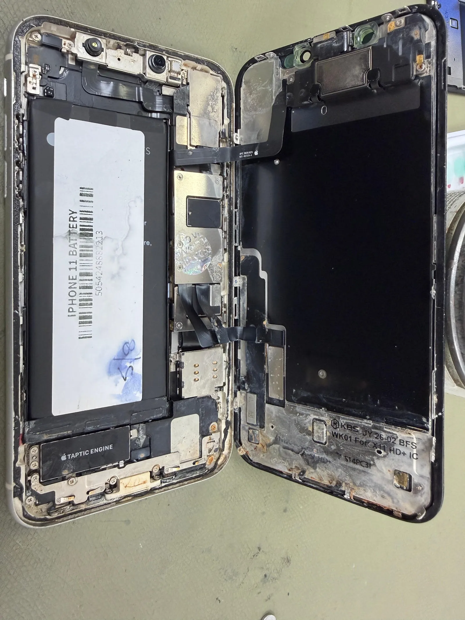 Phone Repair Doctor photo